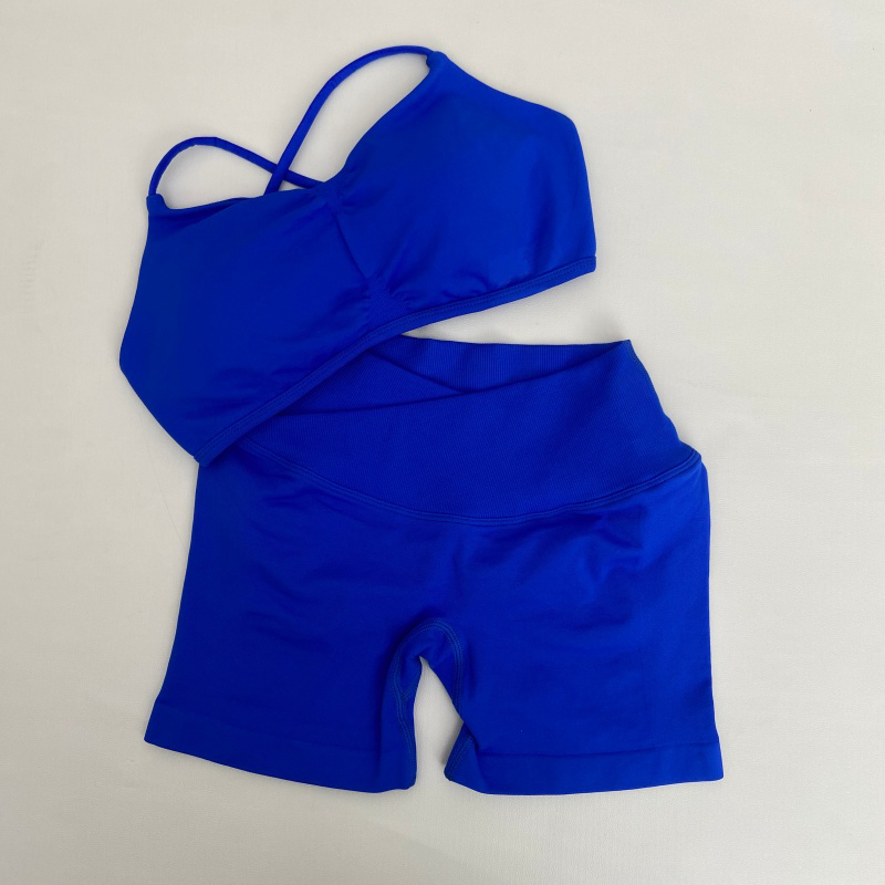 Conjunto de Roupas de Ginástic - Sports Bra High Impact avaliação e preço
